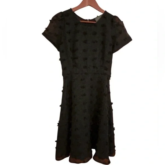 Anthropologie Sunday in Brooklyn Glenda Pom Swiss Dot A-line Black Dress - Picture 6 of 15